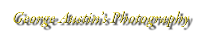 George Austin Photography